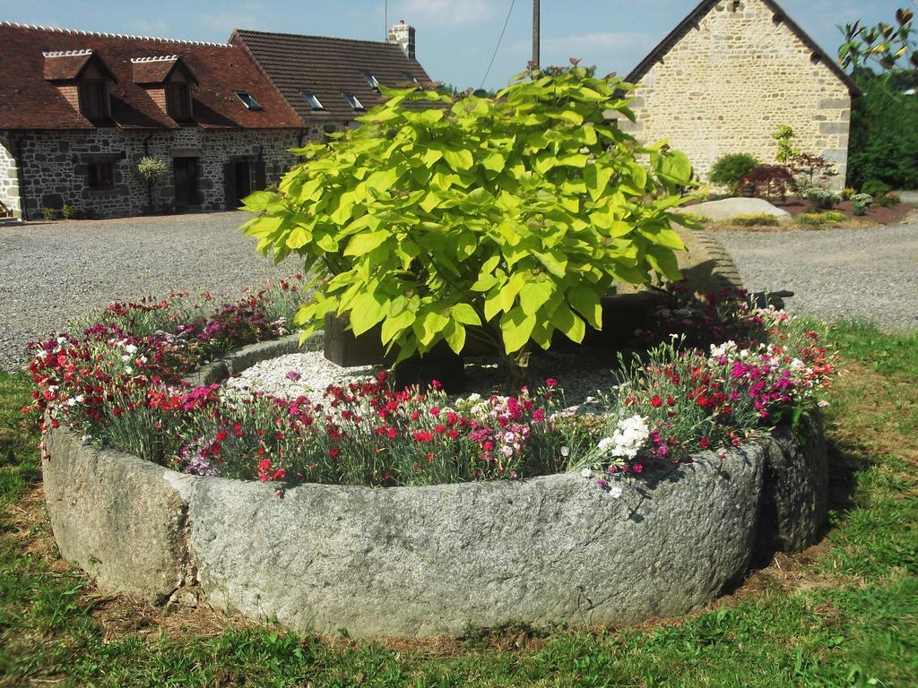 Ferme Cidricole Hugues Desfrieches Bed and Breakfast Sainte-Marguerite-de-Carrouges Rum bild